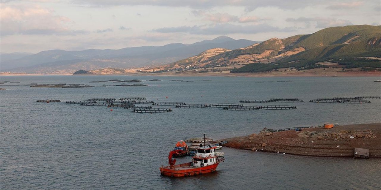 Tokat'tan Norveç, Hollanda, Rusya ve Japonya'ya Balık İhracatı