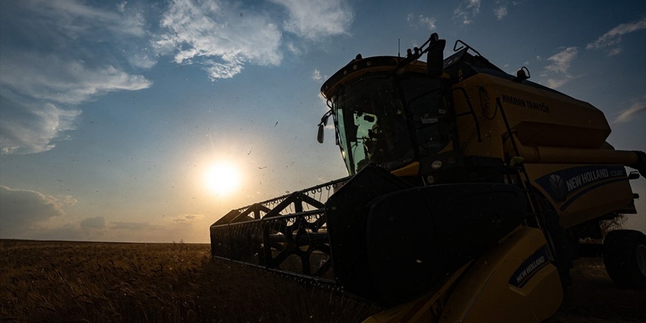 86,5 Milyon Liralık Tarımsal Destek Kalemleri Bugün Yatırıldı