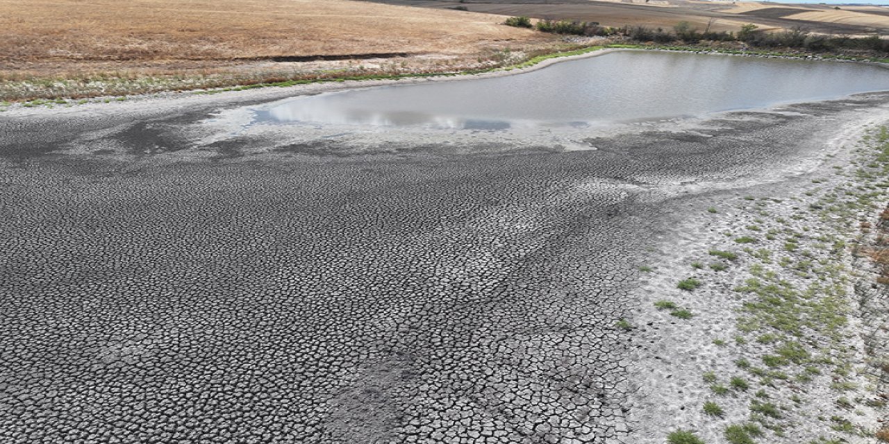 Edirne'deki Demirhanlı Göleti'nin Suyu Kuraklık Nedeniyle Tükenmek Üzere