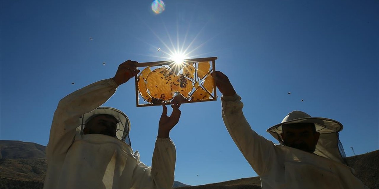 Bal Peteğine Harf ve Desen İşlediler