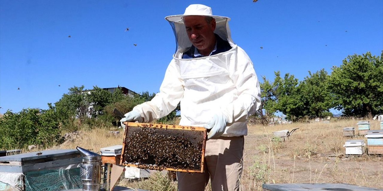 Mobilya İşini Bırakıp Arıcılığa Başladı, 25 Yılda 400 Kovana Ulaştı