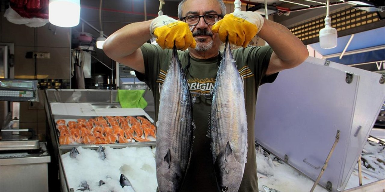 Sinop'ta Sezonun İlk Torikleri Tezgahlarda Yerini Aldı