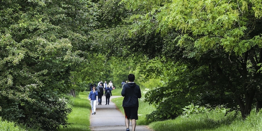 'Sağlıklı Uyku İçin Açık Havada Yürüyün'