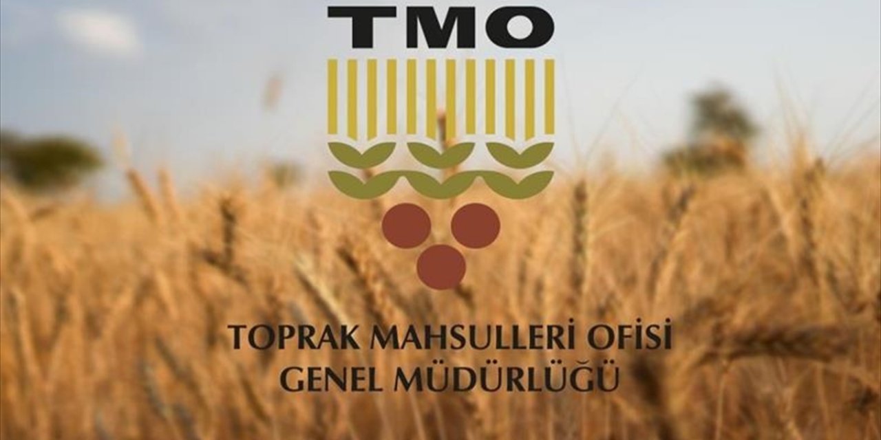 TMO'nun İthalat Yoluyla Tarım Ürünleri Almasına İlişkin Usul ve Esaslar Belirlendi