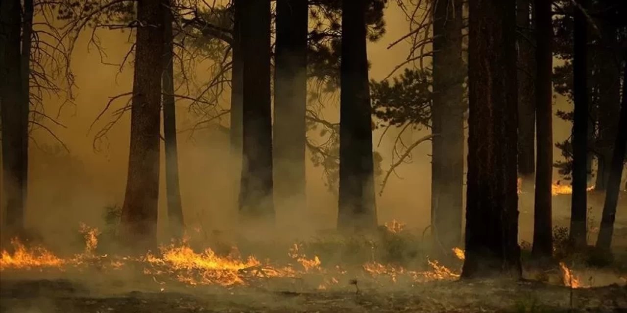 İklim Değişikliği Türkiye ve Yunanistan'da Orman Yangınlarına Yol Açan Hava Koşullarını Şiddetlendirdi
