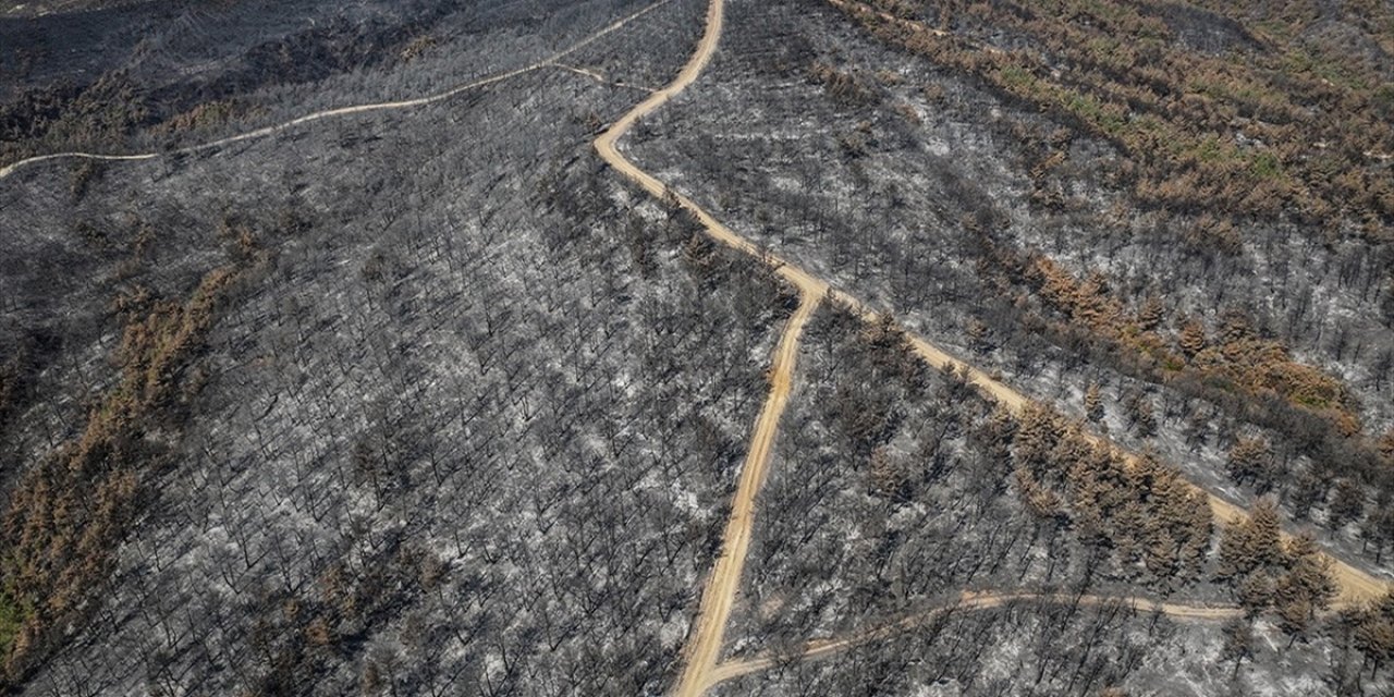 Çanakkale'de 118 Orman Yangınında 7 Bin 39 Hektar Alan Zarar Gördü