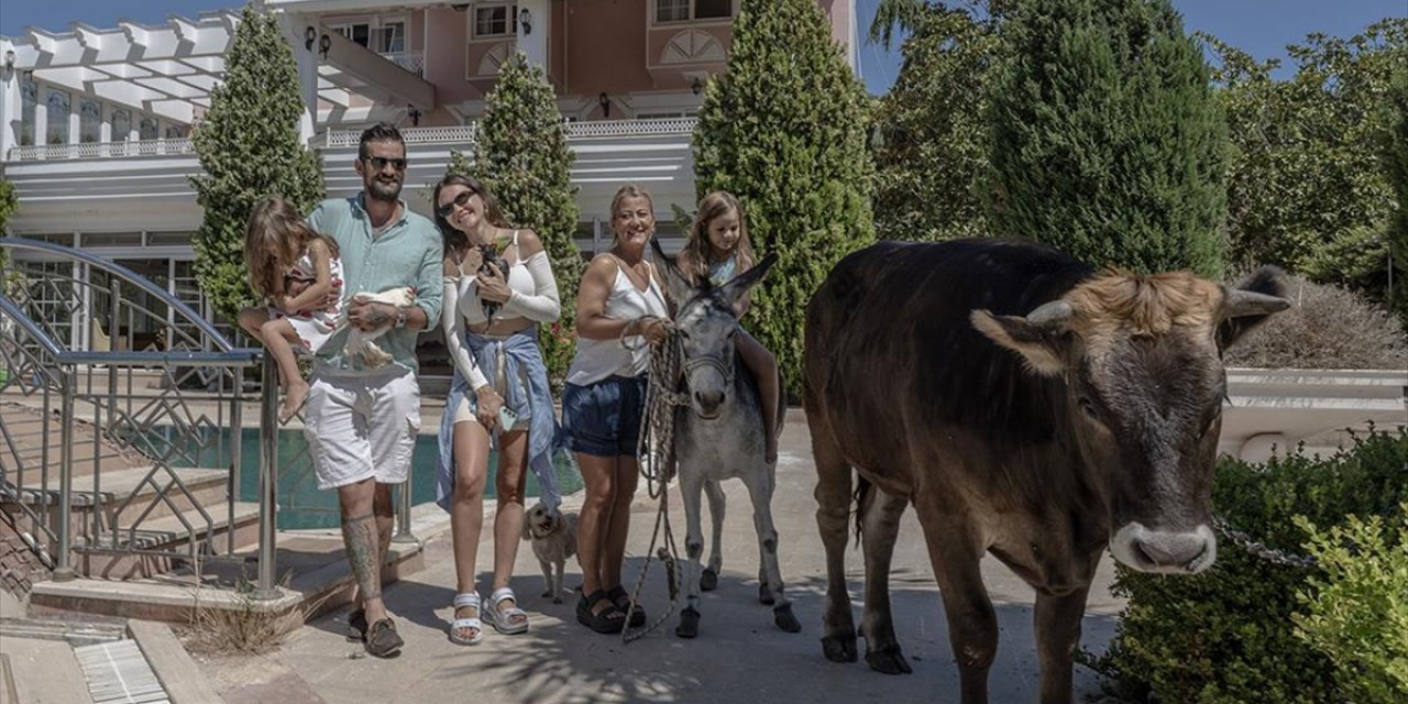 Sahiplendikleri Farklı Türdeki Hayvanlara Evlerini Yuva Yaptılar