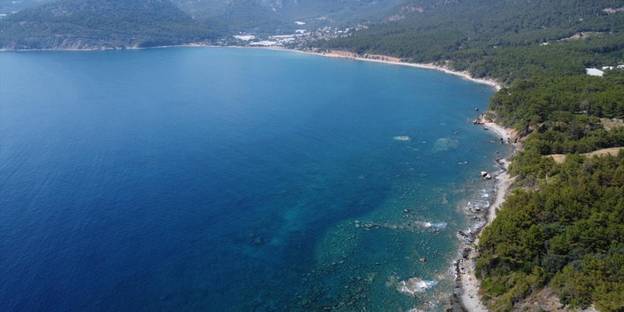 Akdeniz'deki Isınma Ekosistemi Yeniden Şekillendiriyor