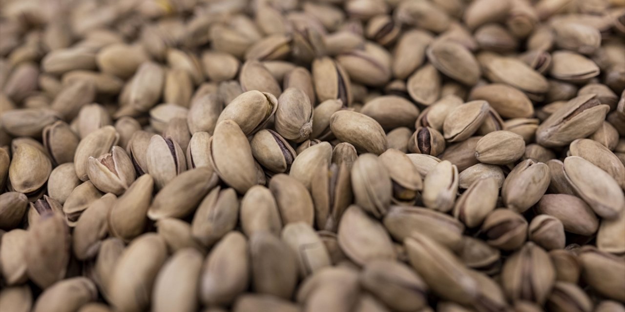 Tarım, Ticaret ve Hazine Bakanlıkları Koordinasyonunda Fıstık Sektörü Denetlendi