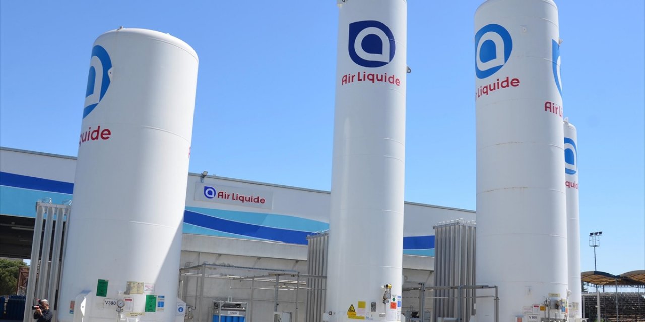 Putin, Fransız Şirketi Air Liquide'in Rusya'daki Varlıklarını Yerel Bir Şirkete Devretti
