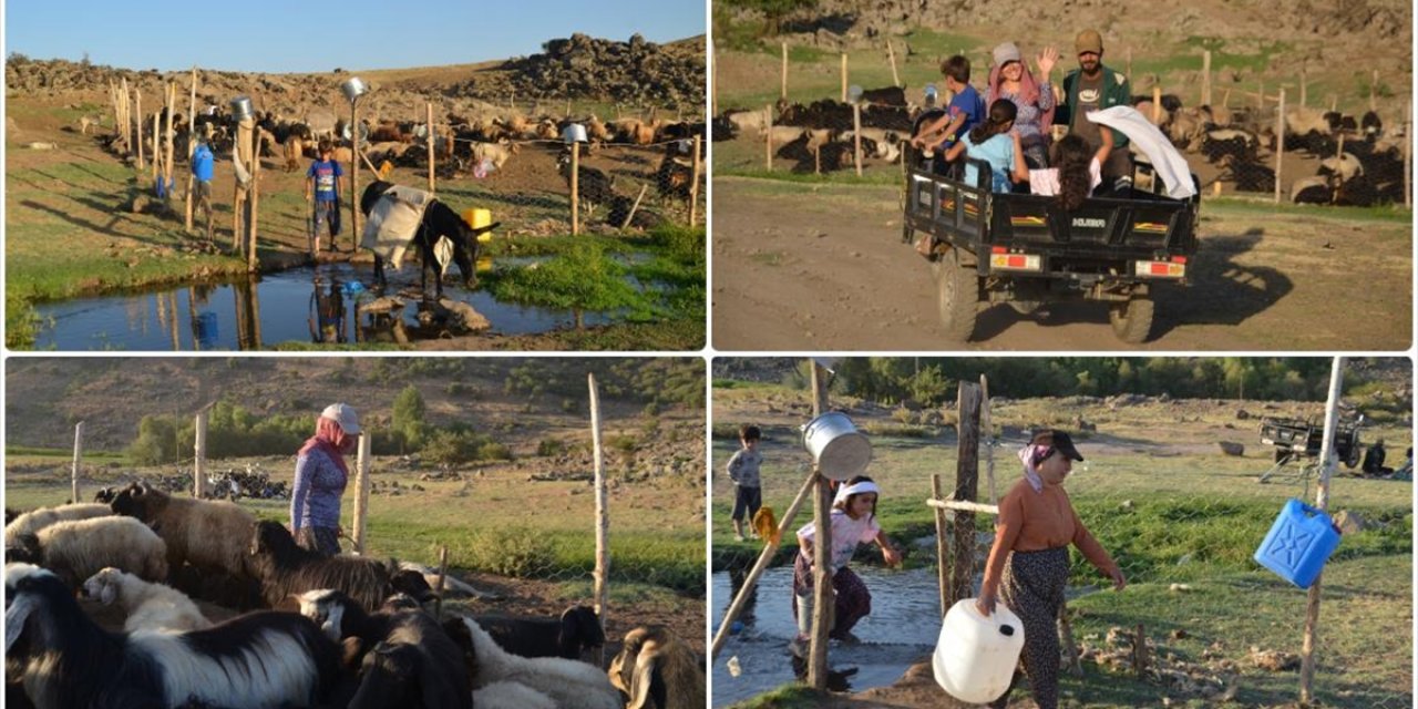 Muş'ta "Berivanlar" Üç Tekerlekli Motosikletlerle Yaylaya Çıkıyor