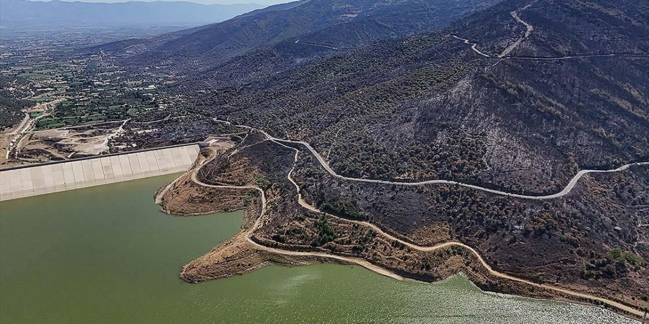 Afad'dan, İzmir'deki Orman Yangınları Sonrası Yapılan Çalışmalara İlişkin Paylaşım