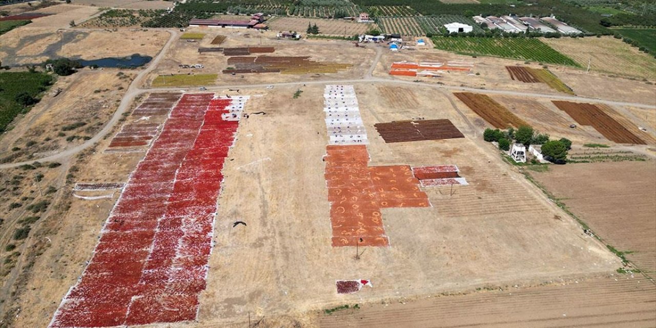 Gediz Ovası Kurutmalık Ürünlerle Renklendi