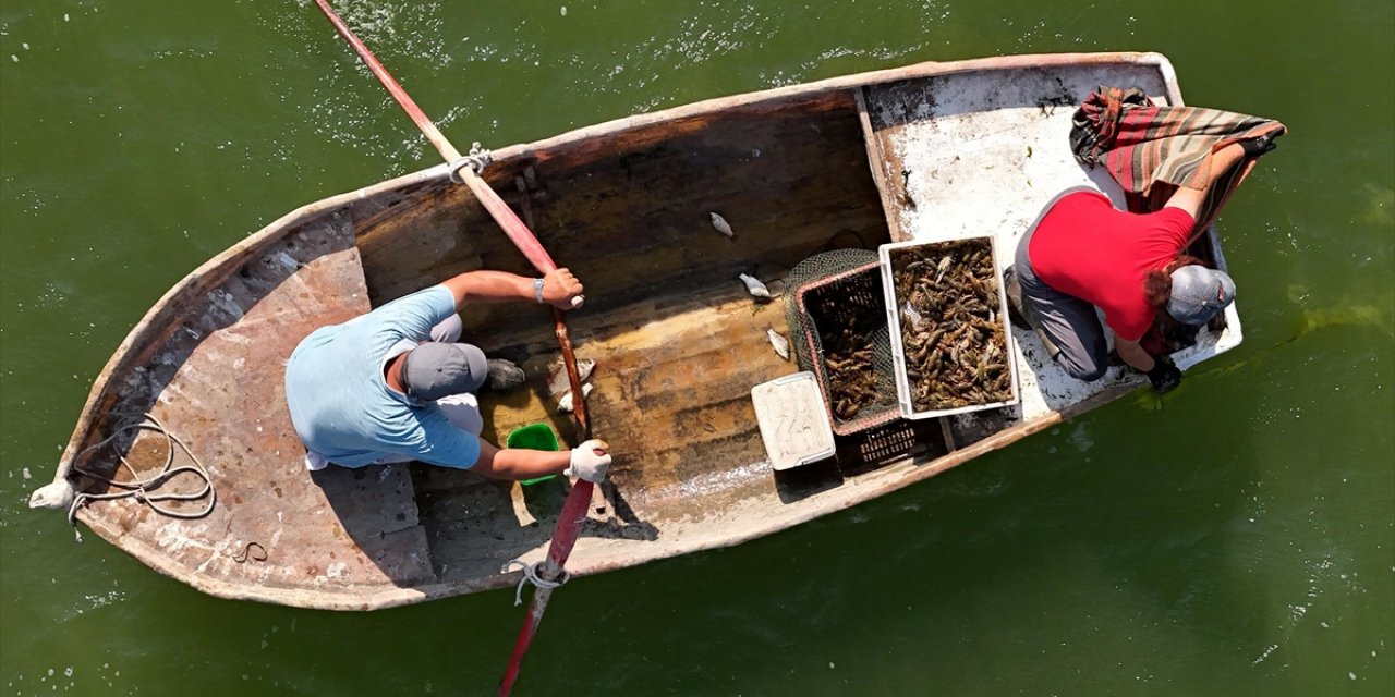 Kütahyalı Çift, Geçimini 20 Yıldır Balık ve Kerevit Avcılığıyla Sağlıyor