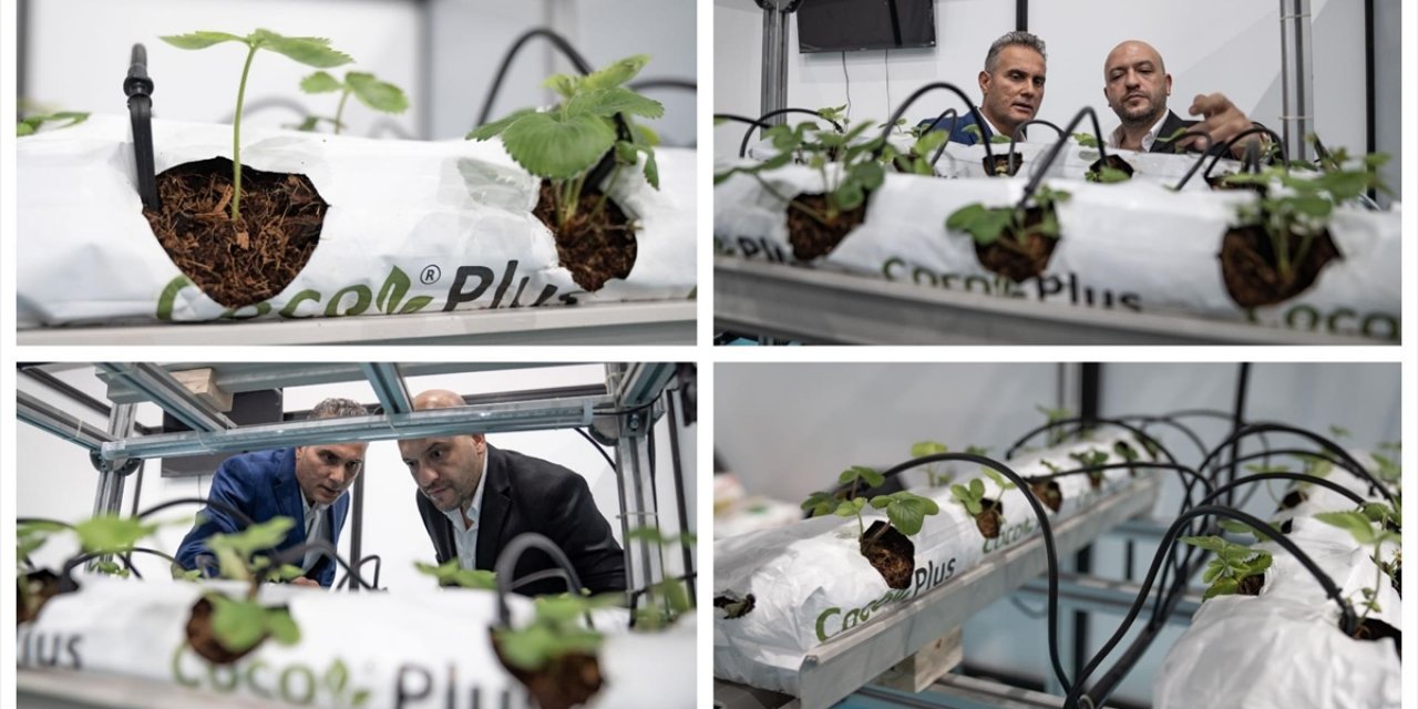 Mühendis Kardeşlerden Uzaktan Kontrol Edilebilen Topraksız Tarım Sistemi