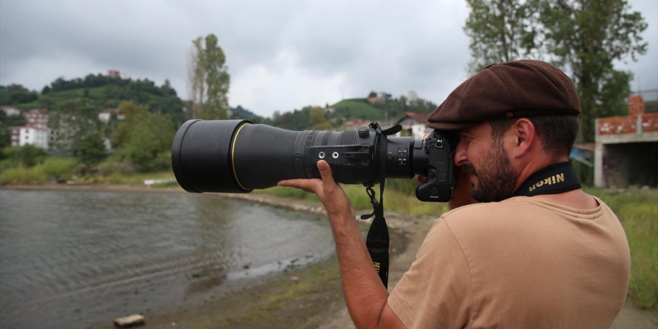 Yaban Hayatı Fotoğrafçısı Alper Tüydeş, Karadeniz'de 172 Kuş Türü Fotoğrafladı