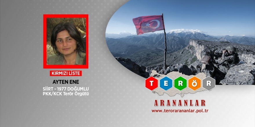 Kırmızı Ve Gri Kategoride Aranan 2 Terörist Etkisiz Hale Getirildi