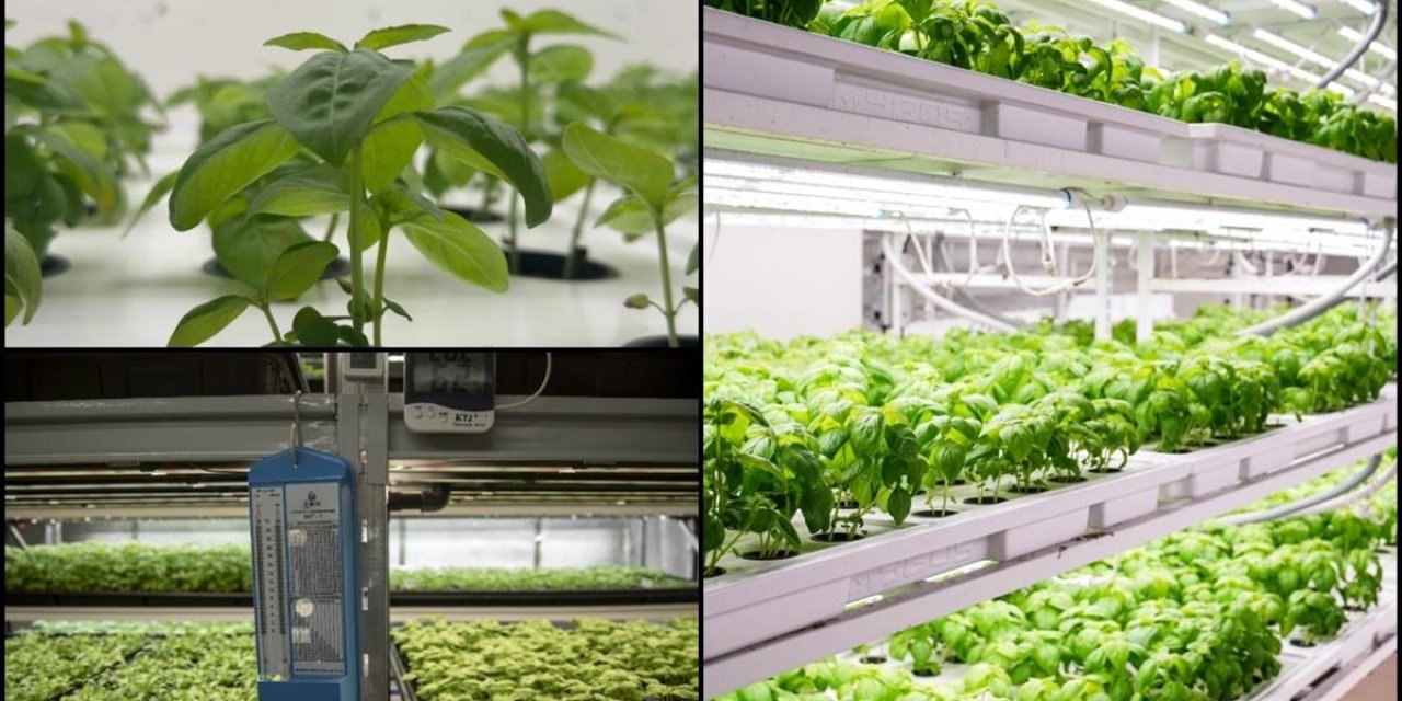 Tarımda Verimlilik İçin Toprak ve Su Kaynakları Teknolojiyle Korunacak