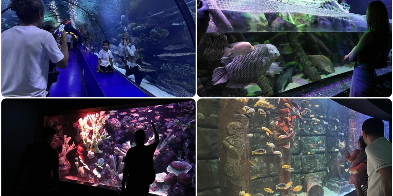Antalya Akvaryum 28 Bin Balık Varlığıyla Yabancı Turistlerin De Rotasında