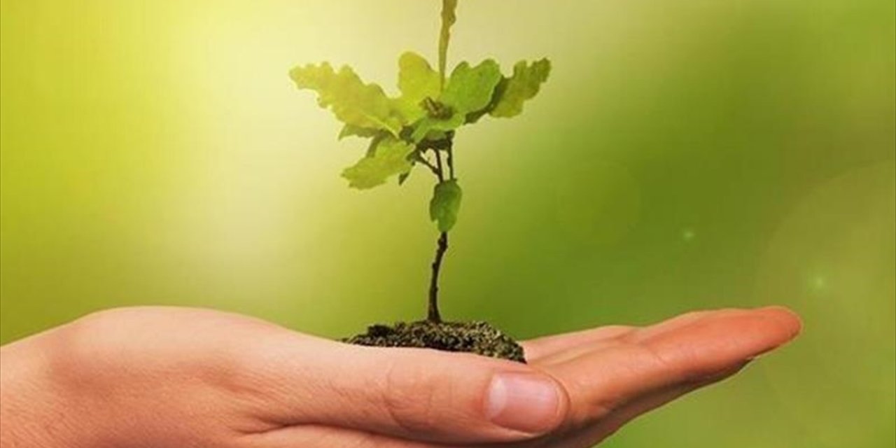 Yeşil Dönüşüm OVP İle Hızlandırılacak