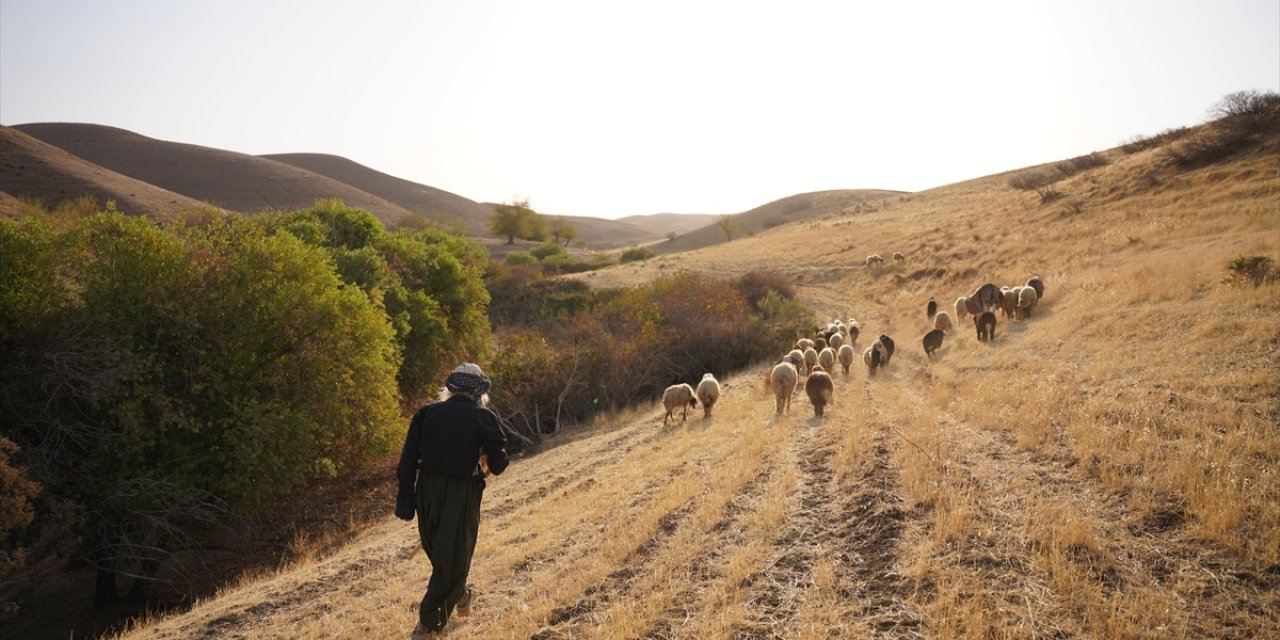 Kerküklü Derviş Hem Çobanlık Yapıyor Hem Çocuklara Kur’an-ı Kerim Öğretiyor