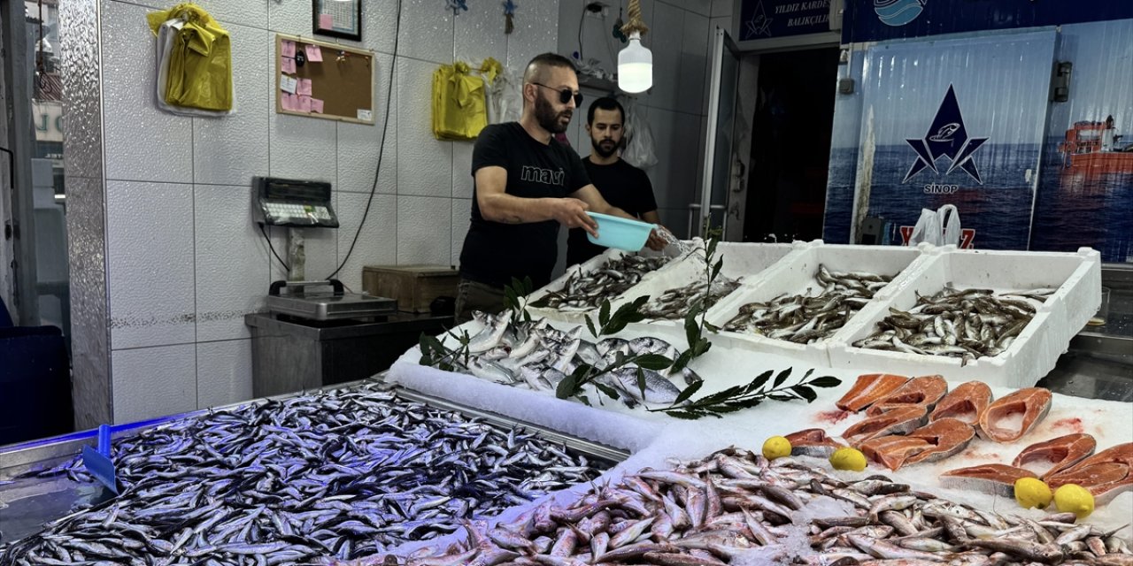 Ağlara Erken Takılan Hamsi Balıkçının Yüzünü Güldürdü