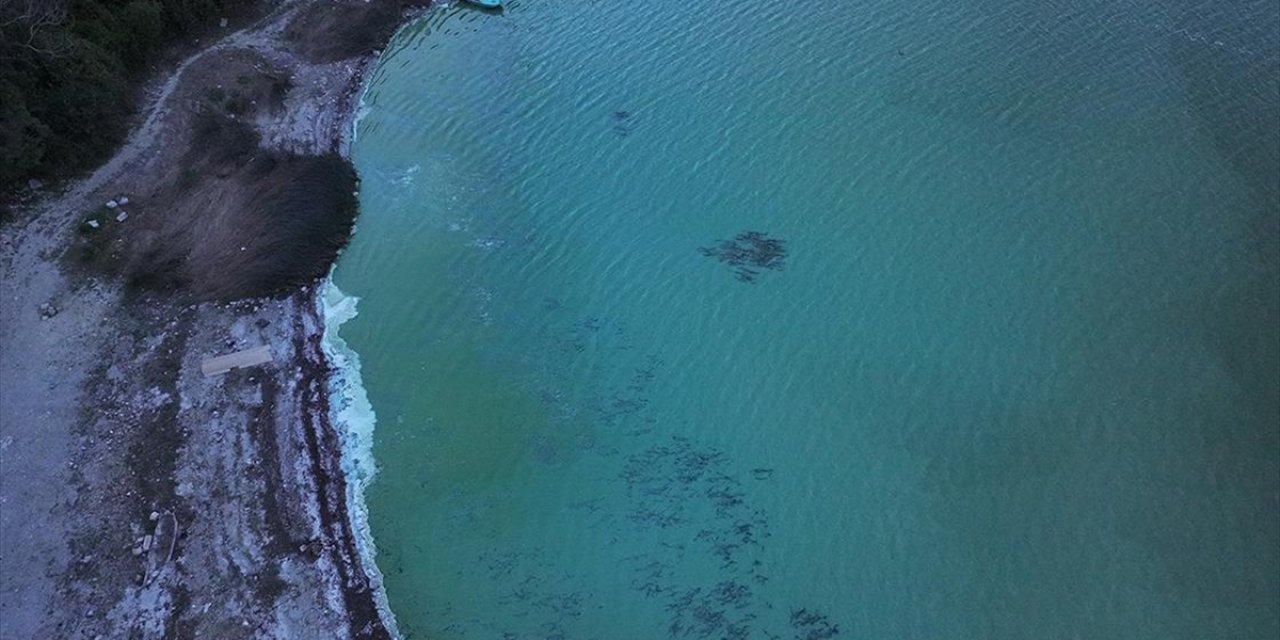 Terkos Barajı'nda Suyun Bazı Bölümleri Yeşile Büründü