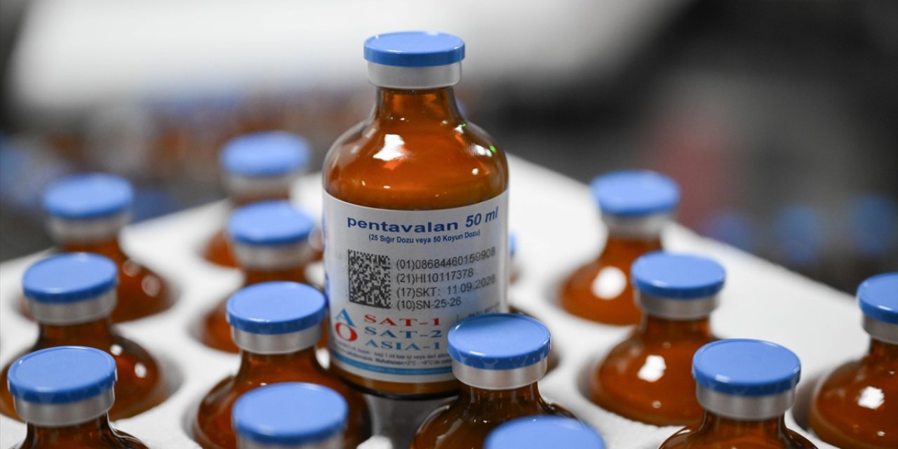 Şap Hastalığının Yeni Serotipine Karşı Yaklaşık 15 Milyon Doz Aşı Sahaya Sevk Edilecek