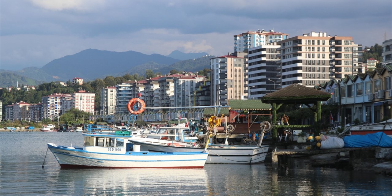 Karadenizli Balıkçıların Tezgahlarında Yeni Sezonda En Çok İstavrit Yer Alıyor