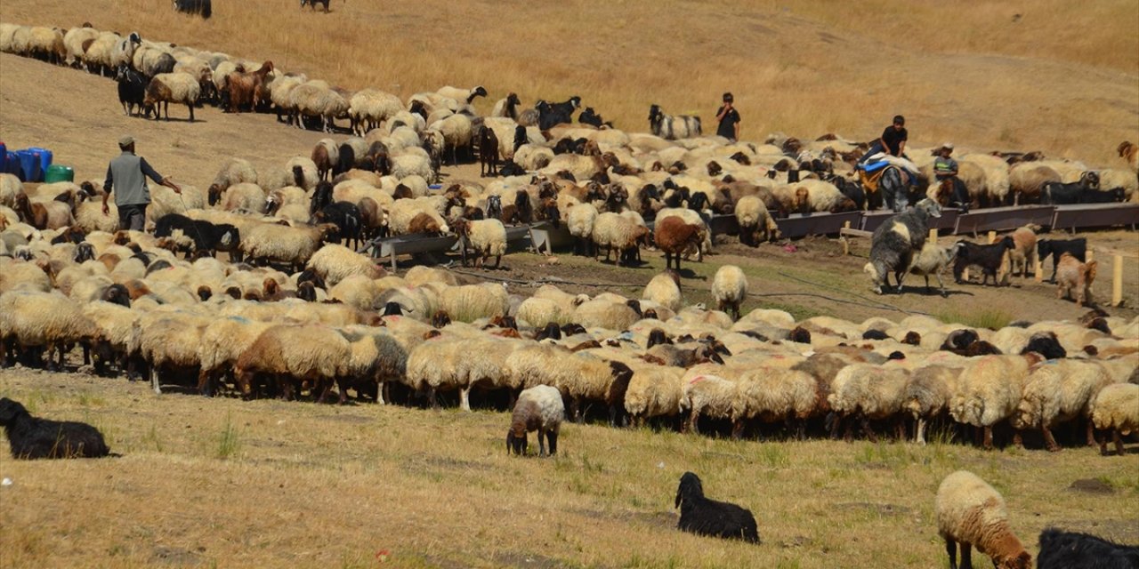 Havanın Soğumasıyla Yaylacıların Dönüş Yolculuğu Başladı