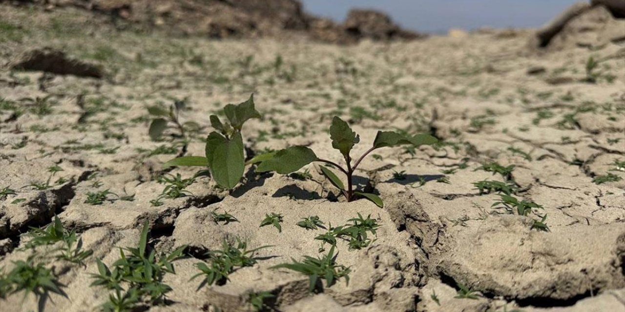 Çanakkale'de Olağanüstü Kuraklık Hem Barajlardaki Suyu Hem de Tarımsal Verimi Düşürdü