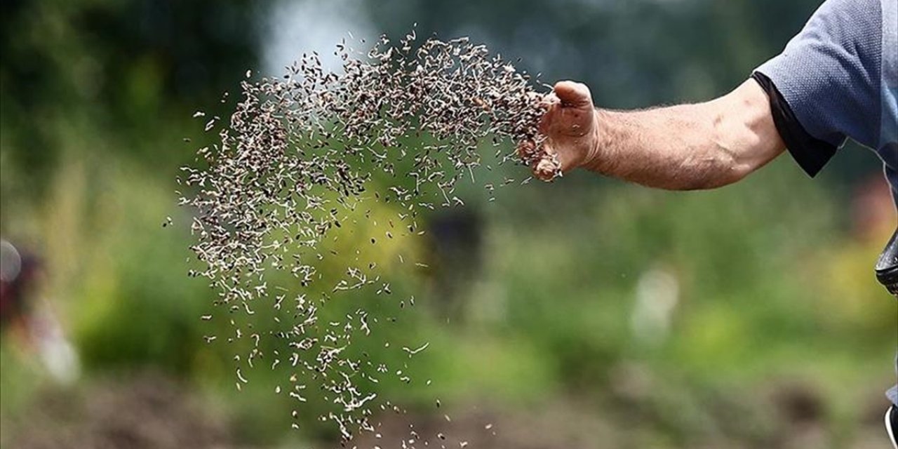 Türk Tohumculuk Sektörünün Hedefi Dünyada İlk 5'e Girmek