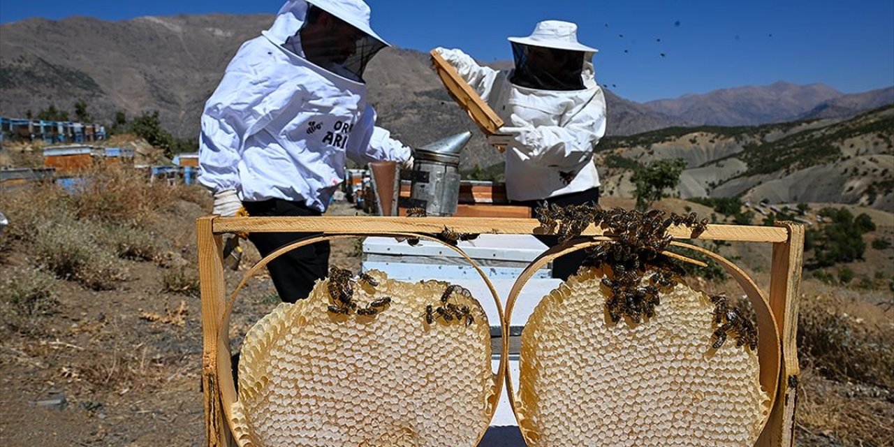 Şehir Hayatını Bırakarak 30 Kovanla Arıcılığa Başlayan Çift, Siparişlere Yetişemiyor