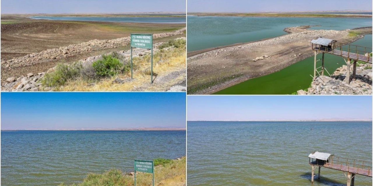 Devegeçidi Baraj Gölü'ndeki Kuraklık Canlı Yaşamını Tehdit Ediyor