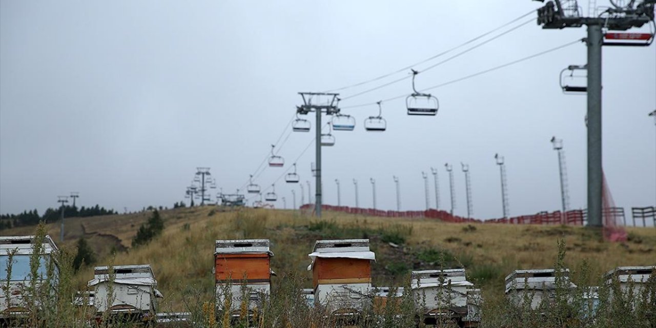 Palandöken Kayak Merkezi, Bitkilendirme Çalışmaları ve Arı Kovanı Uygulamasıyla Yeşilleniyor