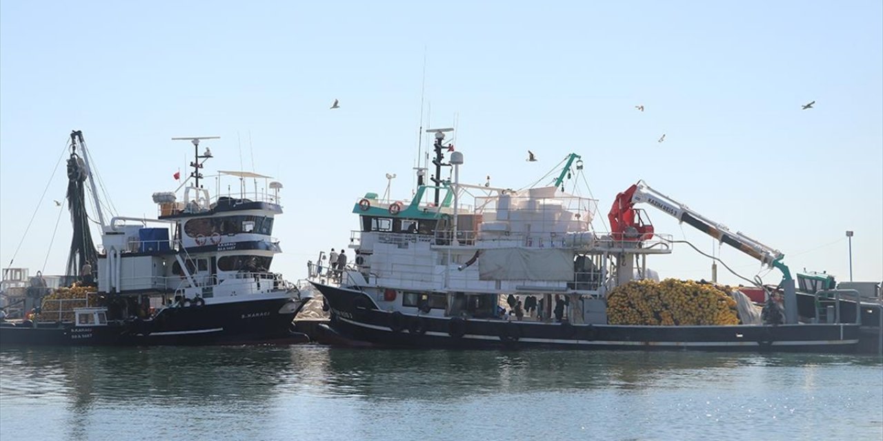 Tekirdağlı Balıkçılar Poyrazın Etkisini Yitirmesiyle Yeniden Denize Açıldı