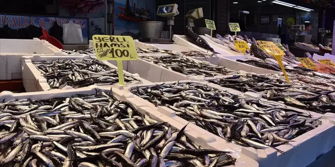 Hamsinin Kilogramı 100 Liradan Satışa Sunuldu