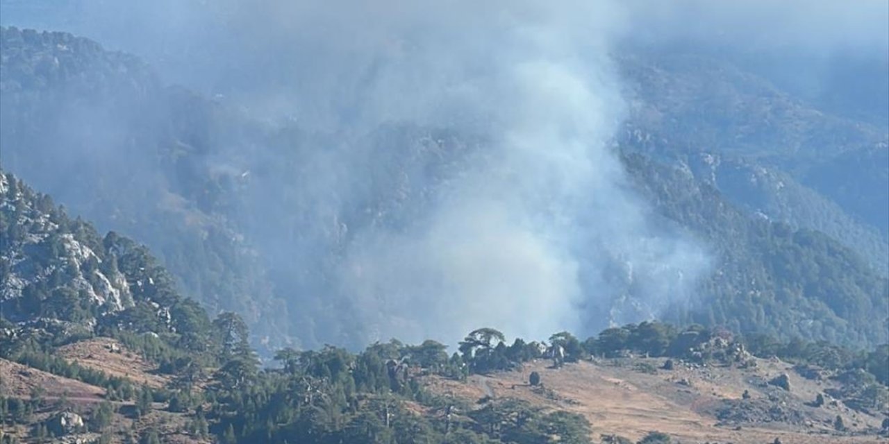 Köyceğiz'de Çıkan Orman Yangınına Müdahale Ediliyor