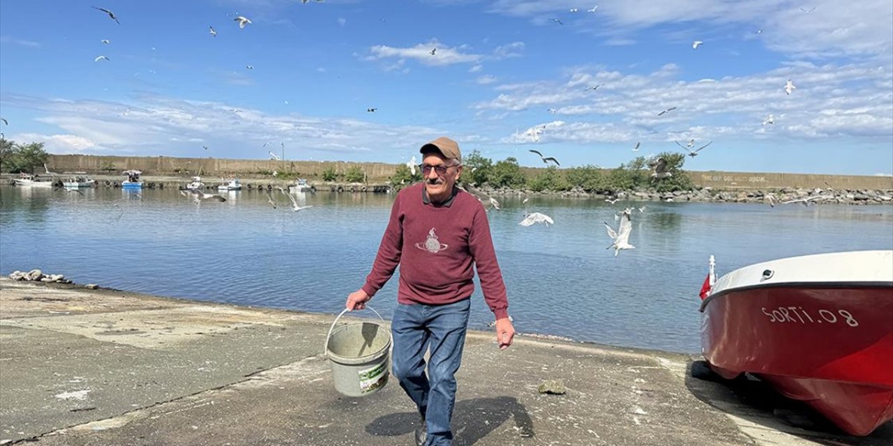 Artvin'li Balık Ustası 30 Yıldır Aynı Yerde Balık Artıklarıyla Martıları Besliyor