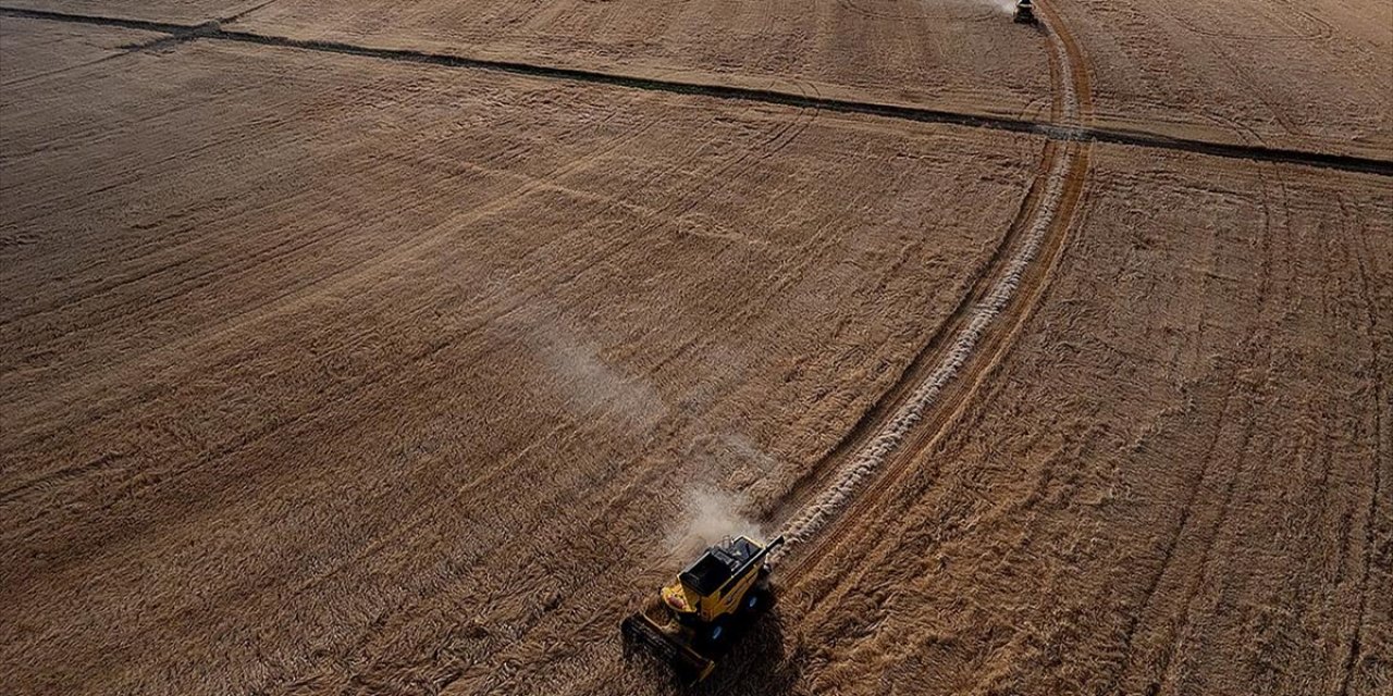 Tarım ve Hayvancılıkta Öncelikli Yatırımlar İçin Yol Haritası Çizildi