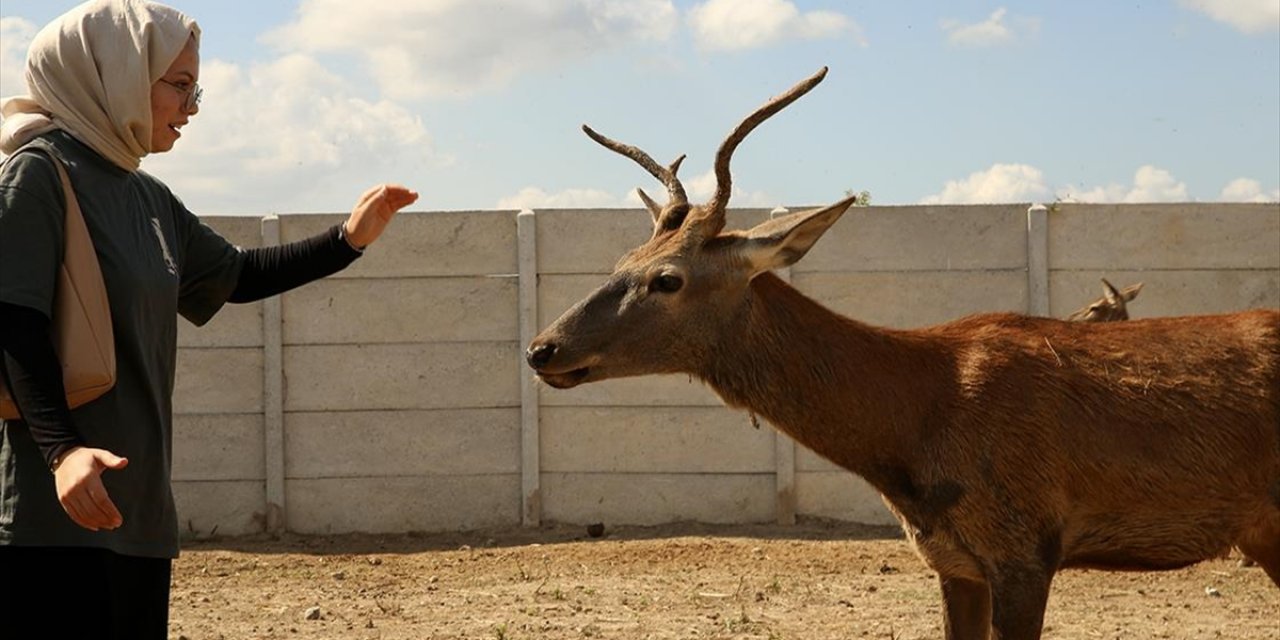 Sakarya'da Lise Öğrencileri Meslek Seçimlerini Saha Gözlemleriyle Şekillendiriyor