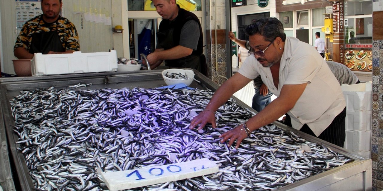 Kota Getirilen Hamsi Avcılığının Verimli Başlaması Gelecek Adına Umut Oldu