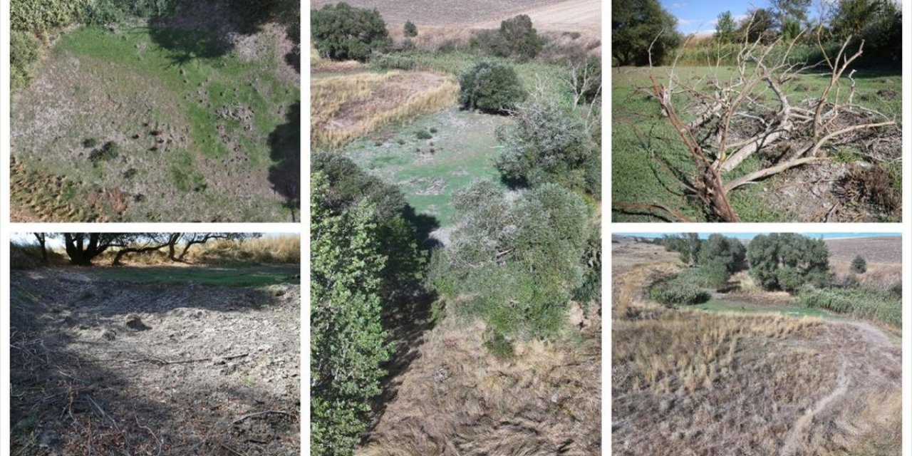 Edirne'deki Musabeyli Göleti Kuraklık Nedeniyle Tamamen Kurudu