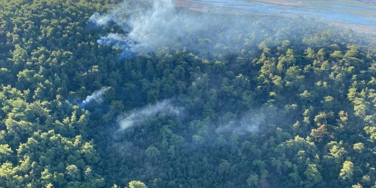 Milas'ta Çıkan Orman Yangınına Havadan ve Karadan Müdahale Ediliyor