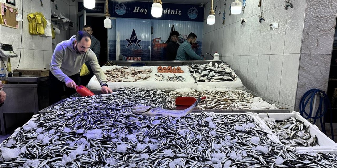 Hamsi Avcılığı Hem Balıkçıyı Hem Tüketiciyi Memnun Etmeyi Sürdürüyor