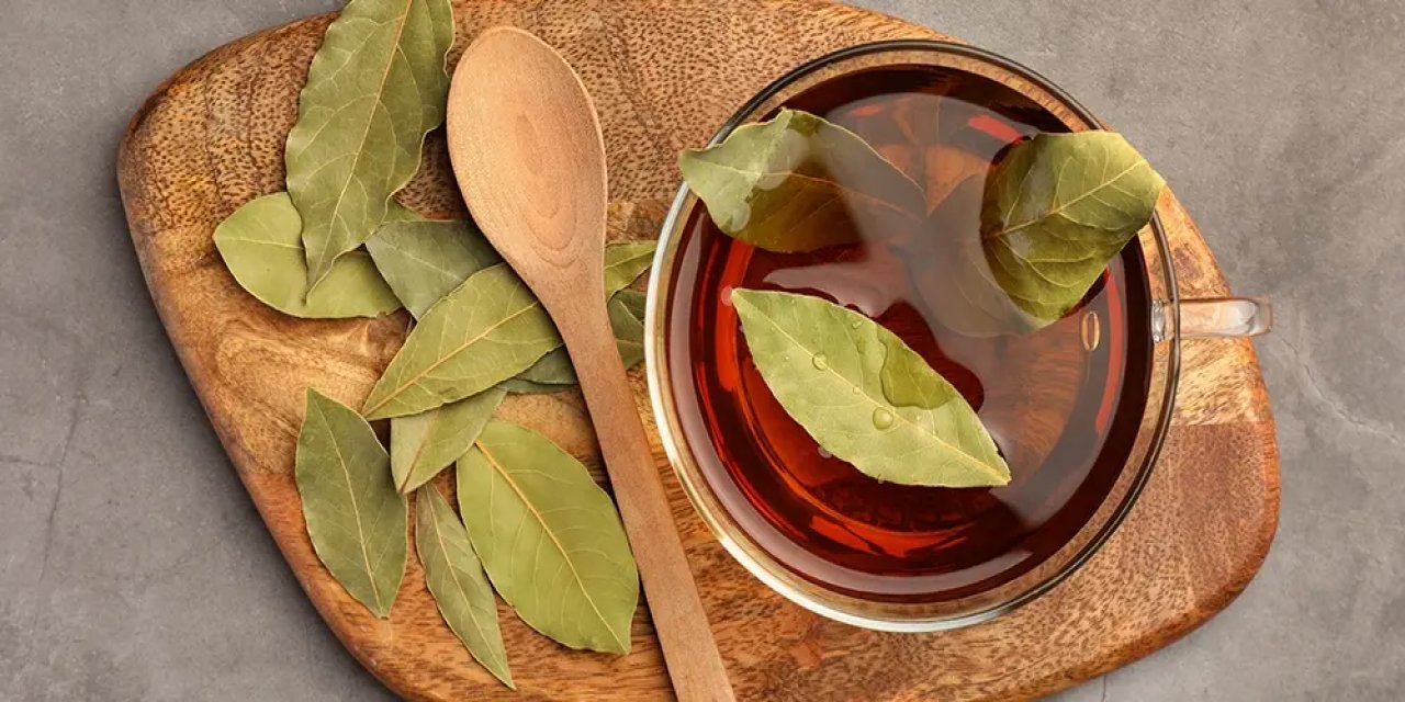 Defne Çayının Faydaları Neler? Defne Çayı Günde Kaç Kere İçilir?