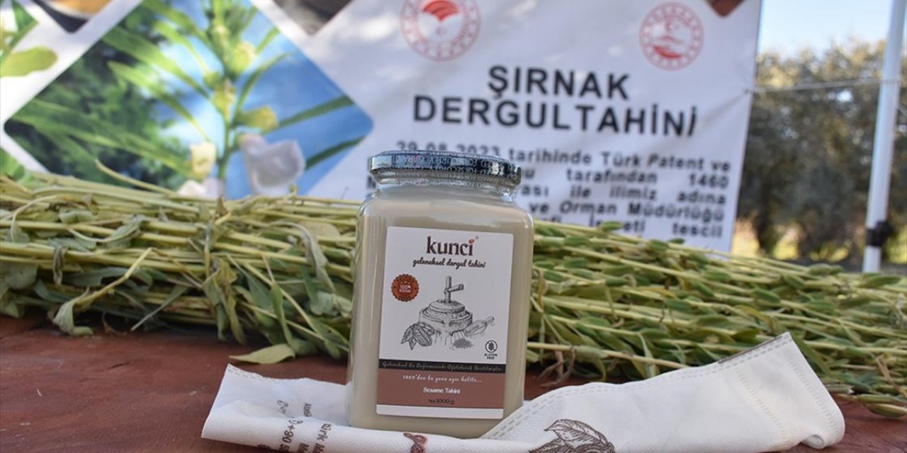 Dergul Tahini Tescillenince Şırnak'ta Susam Üretim Alanı Arttı