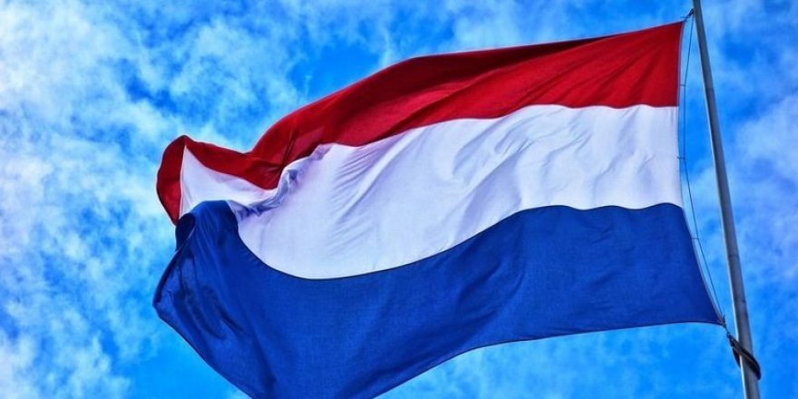 Hollanda, DEAŞ'lı 12 kadın ve 29 çocuğu geri getirecek