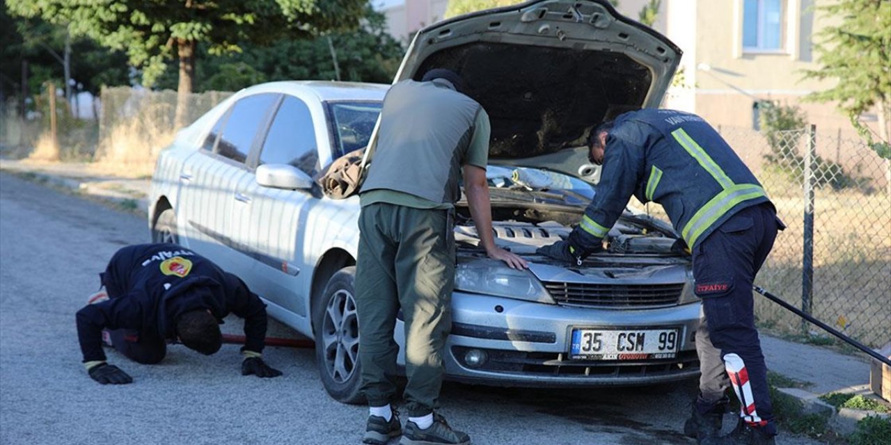 Köpeklerden Kaçan Su Samuru Otomobilin Kaputuna Sığındı