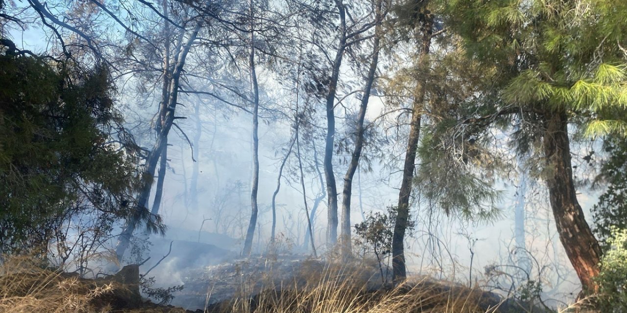 Manavgat'ta Tarım Arazisinde Başlayan Yangın Ormanlık Alana Sıçradı